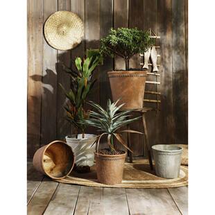 覆古镁泥蕾丝浮雕大花盆装饰客厅花园钢琴叶榕树褐竹绿色植物大直