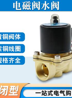 常闭电磁阀水阀2w-160-15/2w-025-08控制阀4分6分1寸220V气阀开