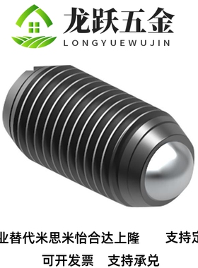 一字槽球头柱塞C-BPES/BPEU3/4/5/6/8/10/12/16