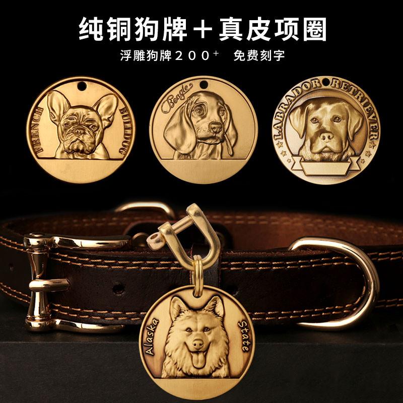 狗狗项圈宠物劲圈大型犬金毛拉布拉多狗牌定制小型犬泰迪脖圈