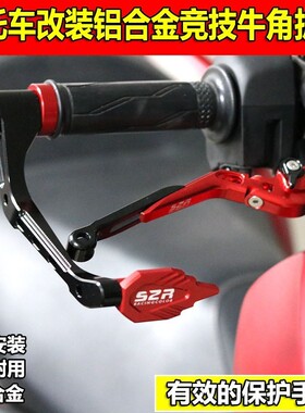 适用钱江鸿150ADV改装牛角护C手防摔护弓刹车手把保护杆防撞配件
