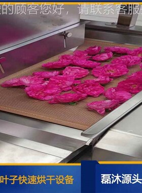 智能化鲜设花微波烘干m杀LM-30KW-青机 玫瑰固提香备 藏花红色花