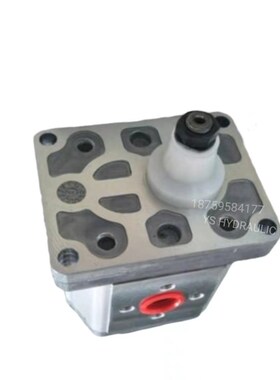 萨澳SAUER丹佛斯j齿轮泵SNP2NN/4.0/6.0/8.0/014/017RN01液压油泵