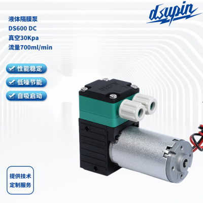 液体隔膜泵DS600 DC化工液体泵12V/24V直流排污真空泵厂家直供