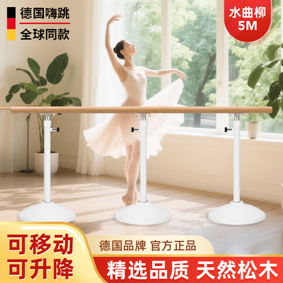 德国嗨跳专业舞蹈把杆