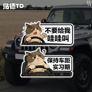 暴躁小猫不要哇哇叫文字汽车摩托油箱玻璃窗机箱划痕反光贴
