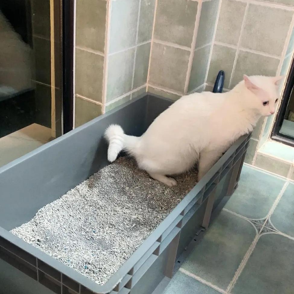 猫砂盆超大号特大号80cm缅因猫巨大号集装箱超级大周转全开放巨型