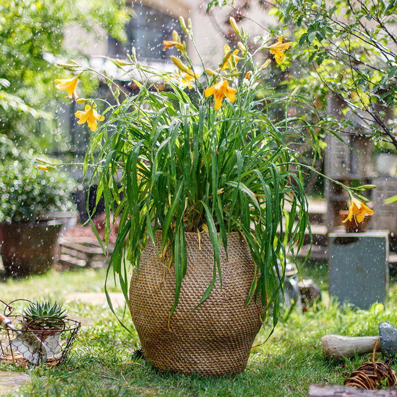 特大号花盆户外庭院花园阳台仿陶瓷花器大型落地T绿植盆栽花盆家