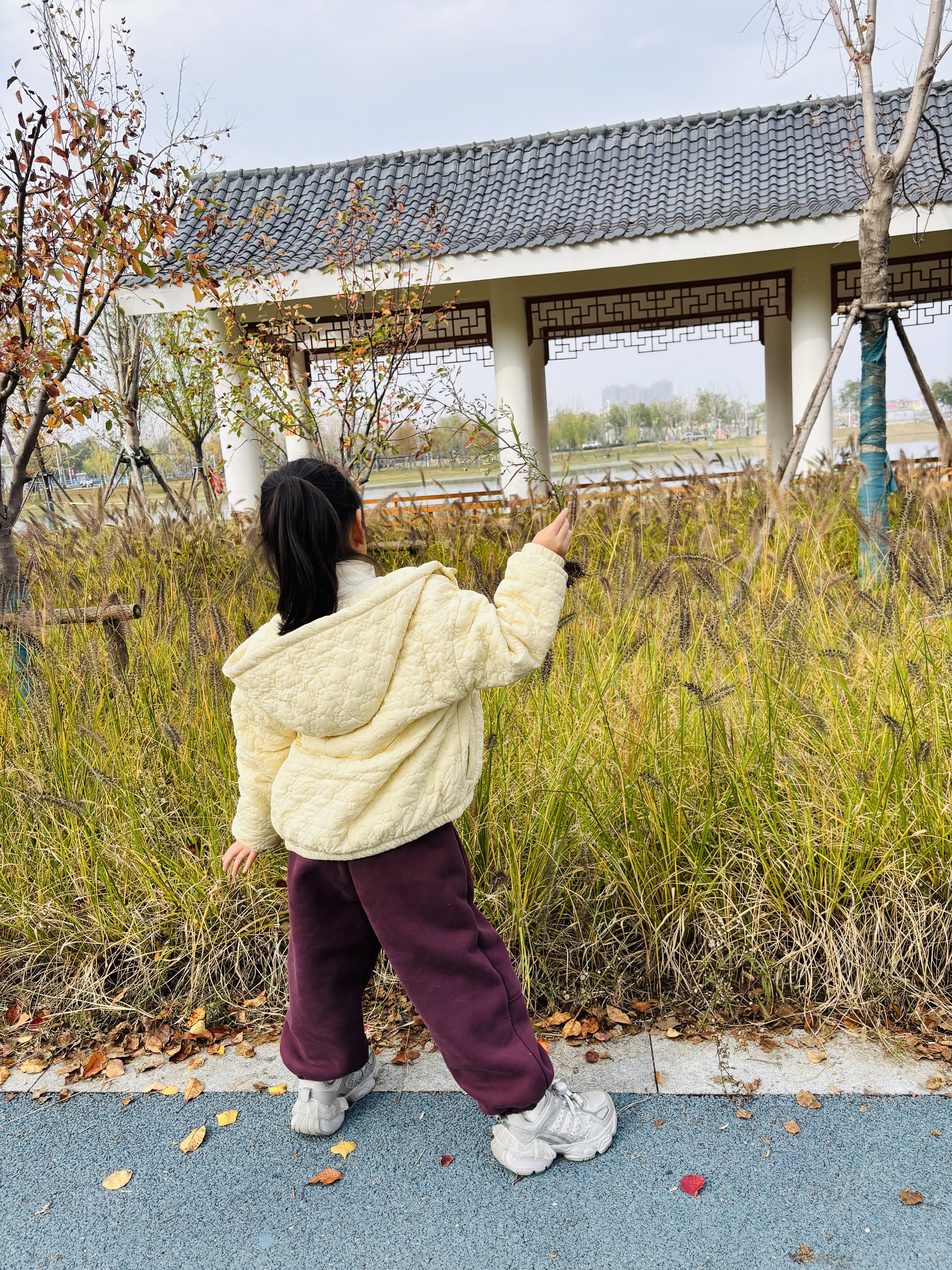 2024秋冬新款长袖连衣裙卫衣裤子