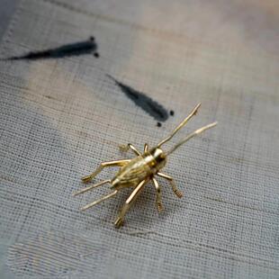 实心纯铜蟋蟀蛐蛐摆件黄铜蚂蚱飞黄腾达蝗虫茶宠昆虫童趣个性收藏