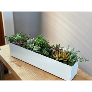 定制不锈钢花槽桌面造景阳台窗台多肉花盆盆栽简约长方形花箱