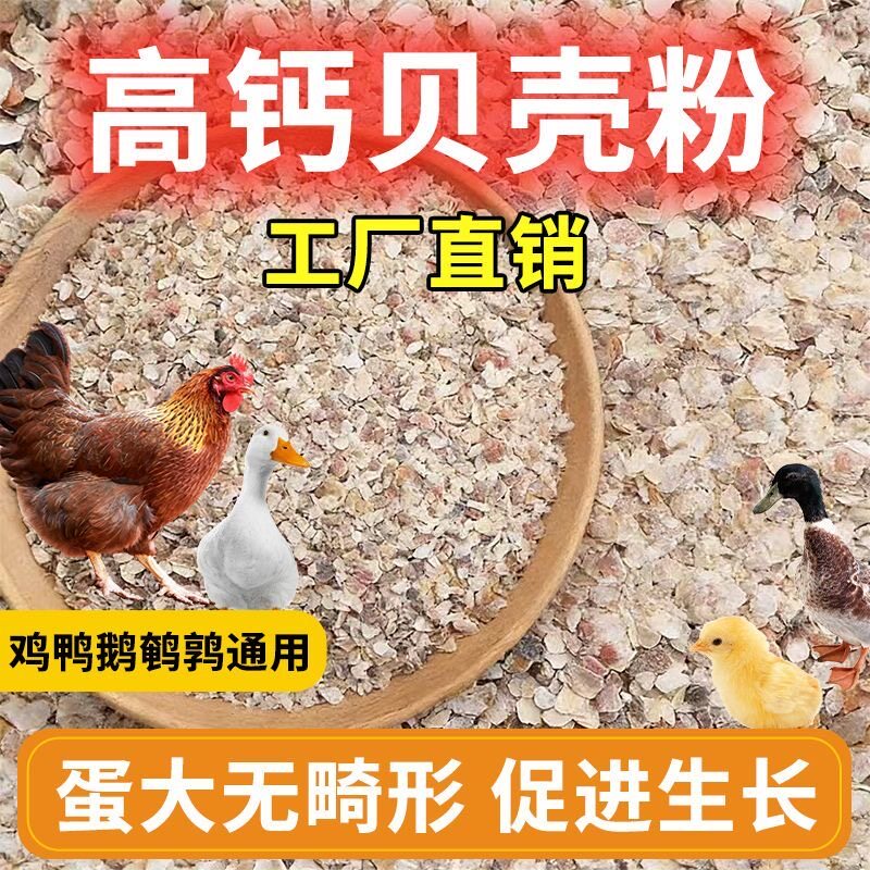 贝壳粉饲料高钙牡蛎粉鸡鸭鹅鸽子家禽防啄蛋软蛋补钙畜牧养殖颗粒
