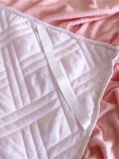 定制新款 纯色夹棉牛奶绒床裙单件秋冬加绒保暖床罩简约防滑珊瑚绒