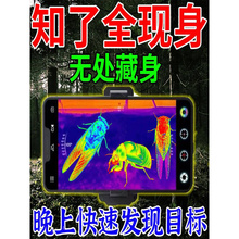 抓知猴了神器夜视仪捕蝉手机眼镜倍镜热成像红外仪树上热感抓进口