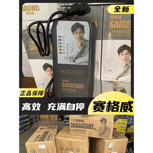 赛格威电动车载充电器全自停48V60V72V三孔专用正极智能关机充电