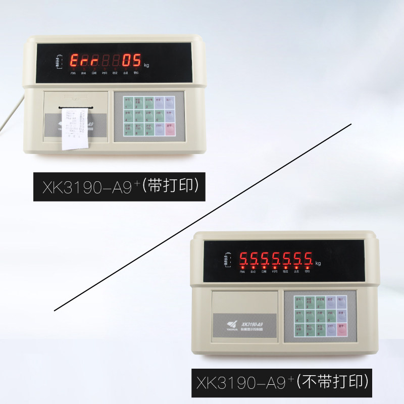 上海耀华XK3190-A9+A9P仪表称重显示器A9打印仪表电子秤地磅仪表