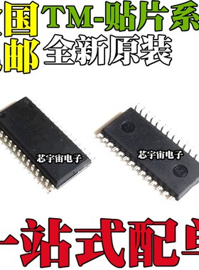TM1628 TM1628A 1621 1638 1640 2313 2314 HT B C E SSOP SOP28