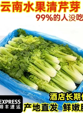 云南新鲜水果清芹牙可生吃的芹菜当季现摘新鲜网红菜绿色榨汁蔬菜