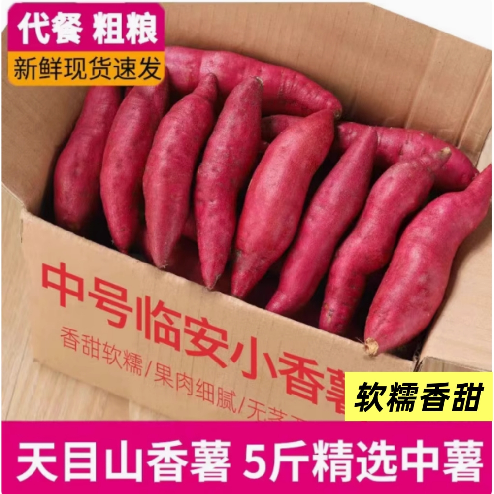 当季小香薯产地直发2025现挖新鲜