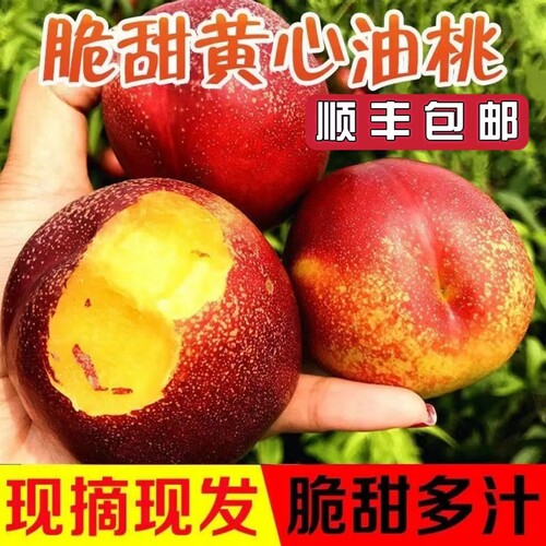 顺丰麻点黄心油桃当季新鲜水果现摘桃子应季孕妇蜜桃整箱黄肉脆桃