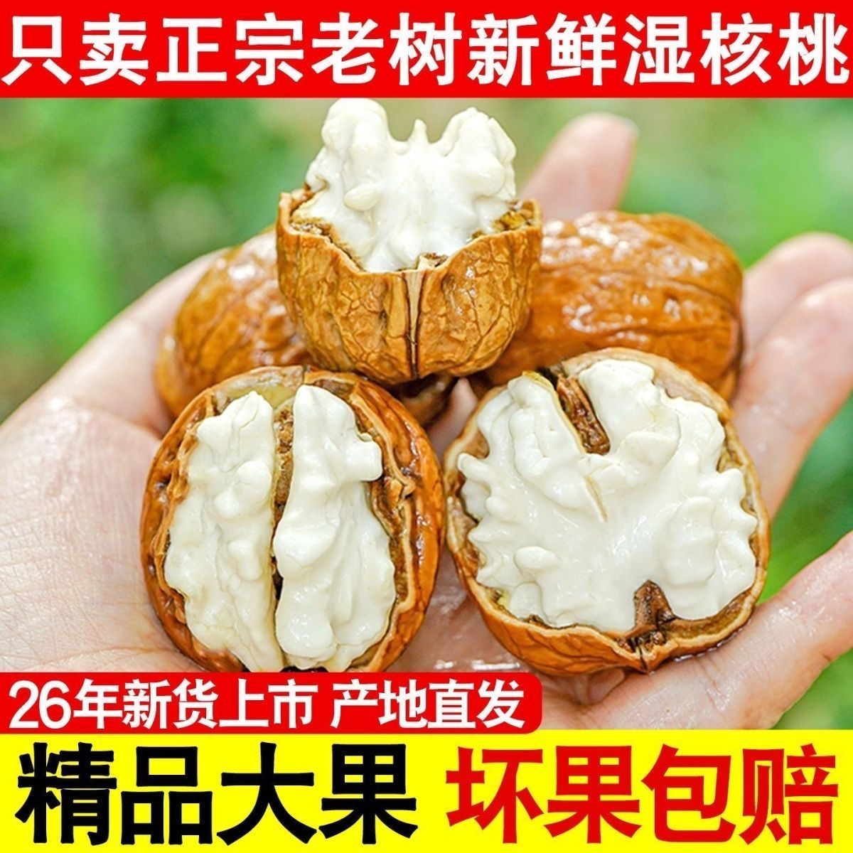 新货2026年新鲜生核桃青皮新鲜湿核桃带青皮绿皮孕妇当季水果顺丰