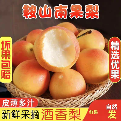东北辽宁特产阳面红南果梨小香梨