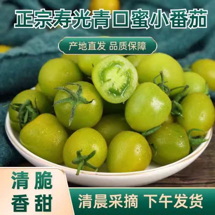 顺丰山东潍坊青口蜜小番茄现摘绿色圣女果新鲜孕妇水果脆甜小柿子