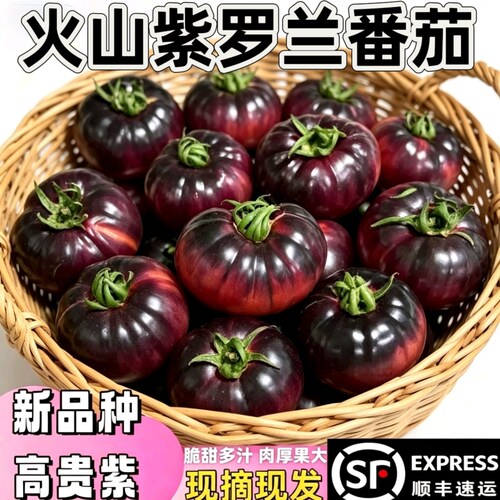 顺丰紫罗兰番茄新鲜现摘丑番茄