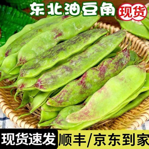 正宗新鲜油豆角现摘现发