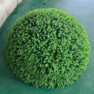 尤加利金钱草球仿真塑料草u球装饰仿真米兰草球黄杨草球井盖遮挡