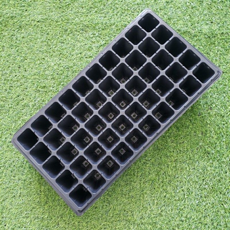 高脚50孔育苗盘托盘林木月季扦插育苗M加深加厚韧性强抗老化