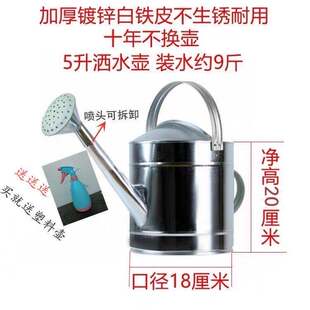 洒水壶大容量家用浇花壶农用浇菜C壶镀锌白铁皮加水壶长嘴加油壶
