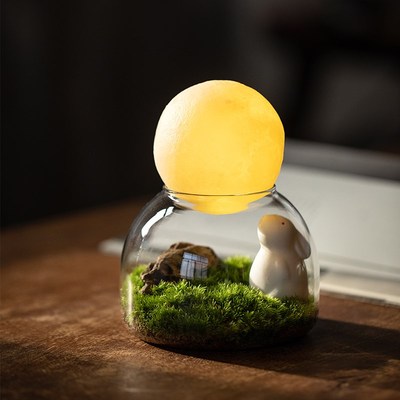 静艺花舍 苔藓微景观办公室内桌面摆件绿植中秋礼物创.意草坪盆栽