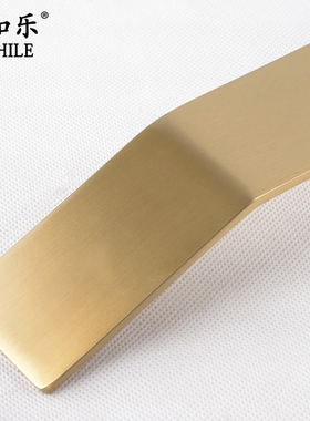 黑色玫瑰金不锈钢实心客梯楼梯轿厢电梯扶手扁型玻璃大门拉手定制