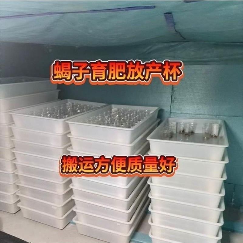 蝎子土元光滑f养殖盒全套设备土元厂家直销养殖盒养殖无毒饲厂家