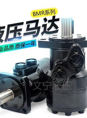 液压油马达BMRf-50 80 100 125 160 200 250 315 400 500摆线马达