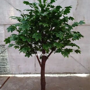 仿真梧桐树假梧桐叶绿p色景观树小区花园造景商场酒店落地摆设枫