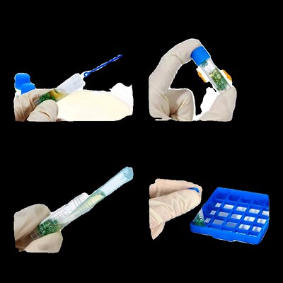 比克曼生物BKMAMLAB瓷珠菌种保存管I磁珠法冻存管冷冻管菌种保存