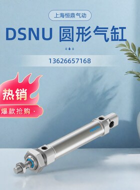 FETSO 费斯托圆形i气缸 DSNU-12-10-20-25-50-80-100-160-200-P-A