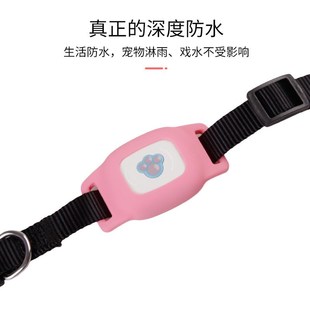 GPS locator iwith dog collar tracker pet kitten cattle sheep