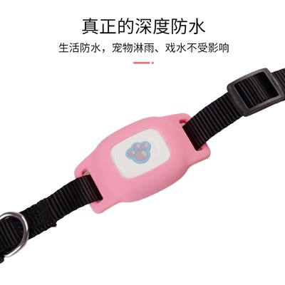 GPS locator iwith dog collar tracker pet kitten cattle sheep