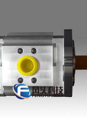 德国ECKERLE艾可勒EIPC3-x040RL/RA23-10齿轮泵注塑机伺服油泵