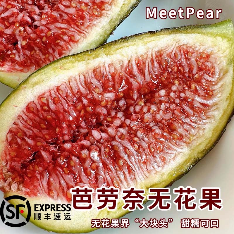 【顺丰】大芭无花果芭劳奈青皮无花果大果园现摘特产时令水果鲜果