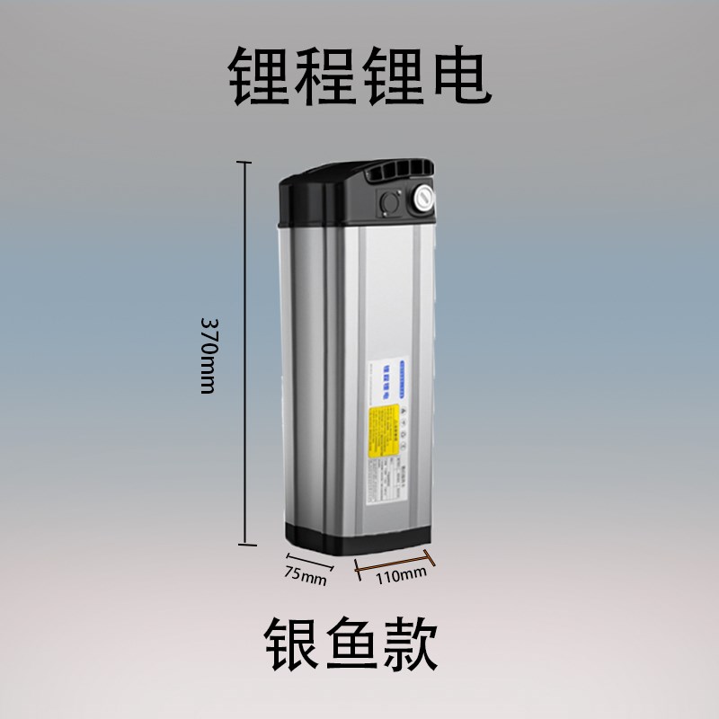 折叠电动车大容量通用电瓶48V6-20A代驾外卖U车手提银鱼锂电池