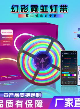 LED Strip Light USB Bluetooth RGB 5V LED RGB /RGBIC Lights丁