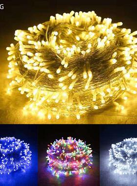 Christmas Lights 5M 10M 20M 30M 50M 100M Led String Fairy
