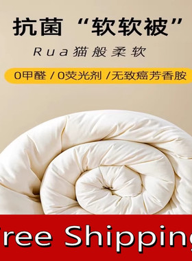 summer autumn quilt thick comforter duvet blanket被子被芯新