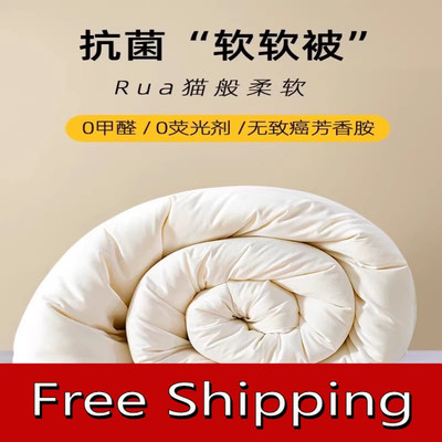 summer autumn quilt thick comforter duvet blanket被子被芯新