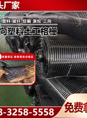 单项塑料土工格栅TGDG80KN GSL GSZ单向土工格栅塑料格栅玻纤钢塑