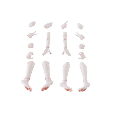 限购5/预售定金AOSHIMA青